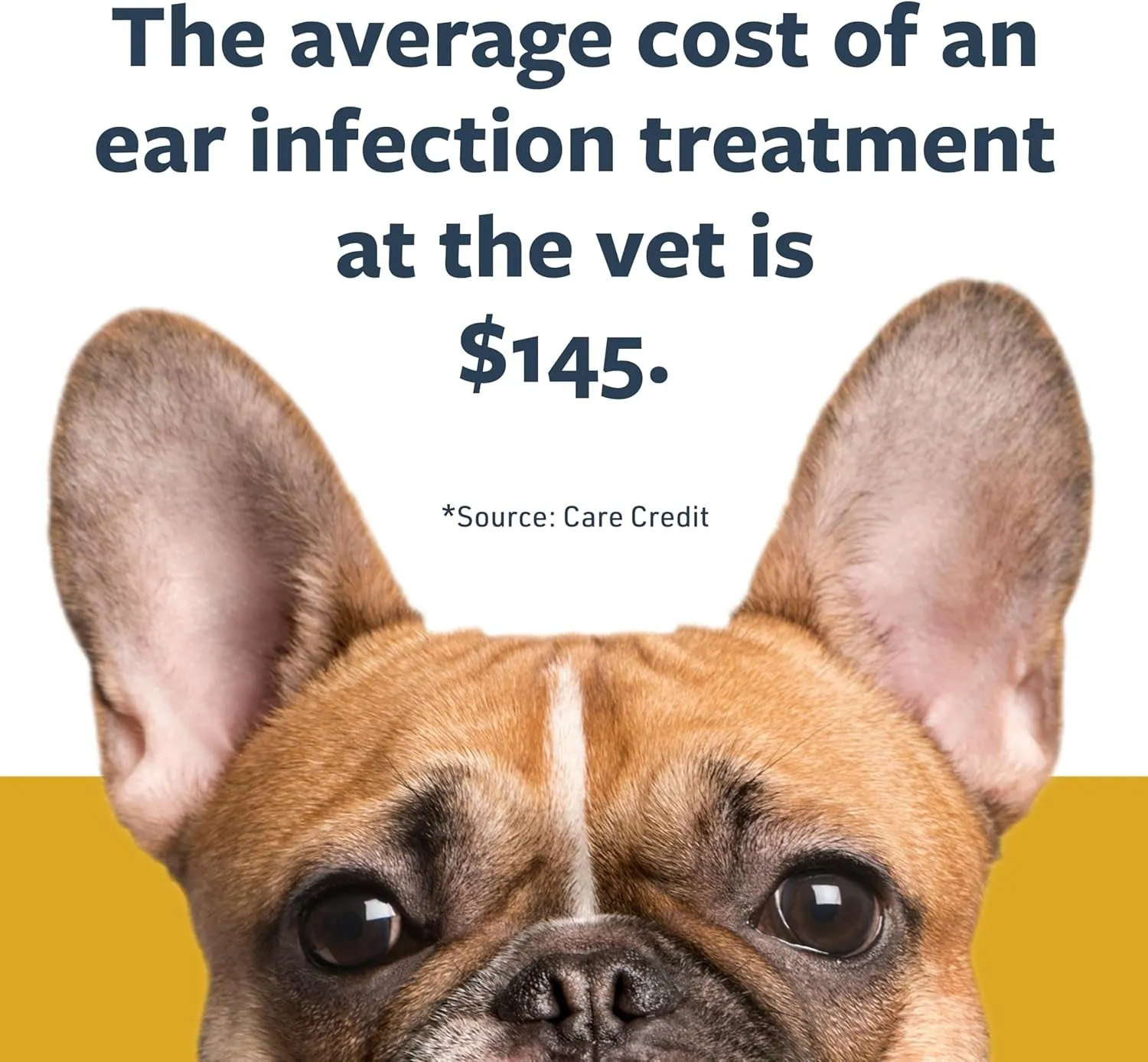 Veterinary Formula Clinical Care Ear Therapy, 8 Oz. – Cat and Dog Ear Cleaner – Helps Soothe Itchiness and Clean the Ear Canal of Debris and Buildup