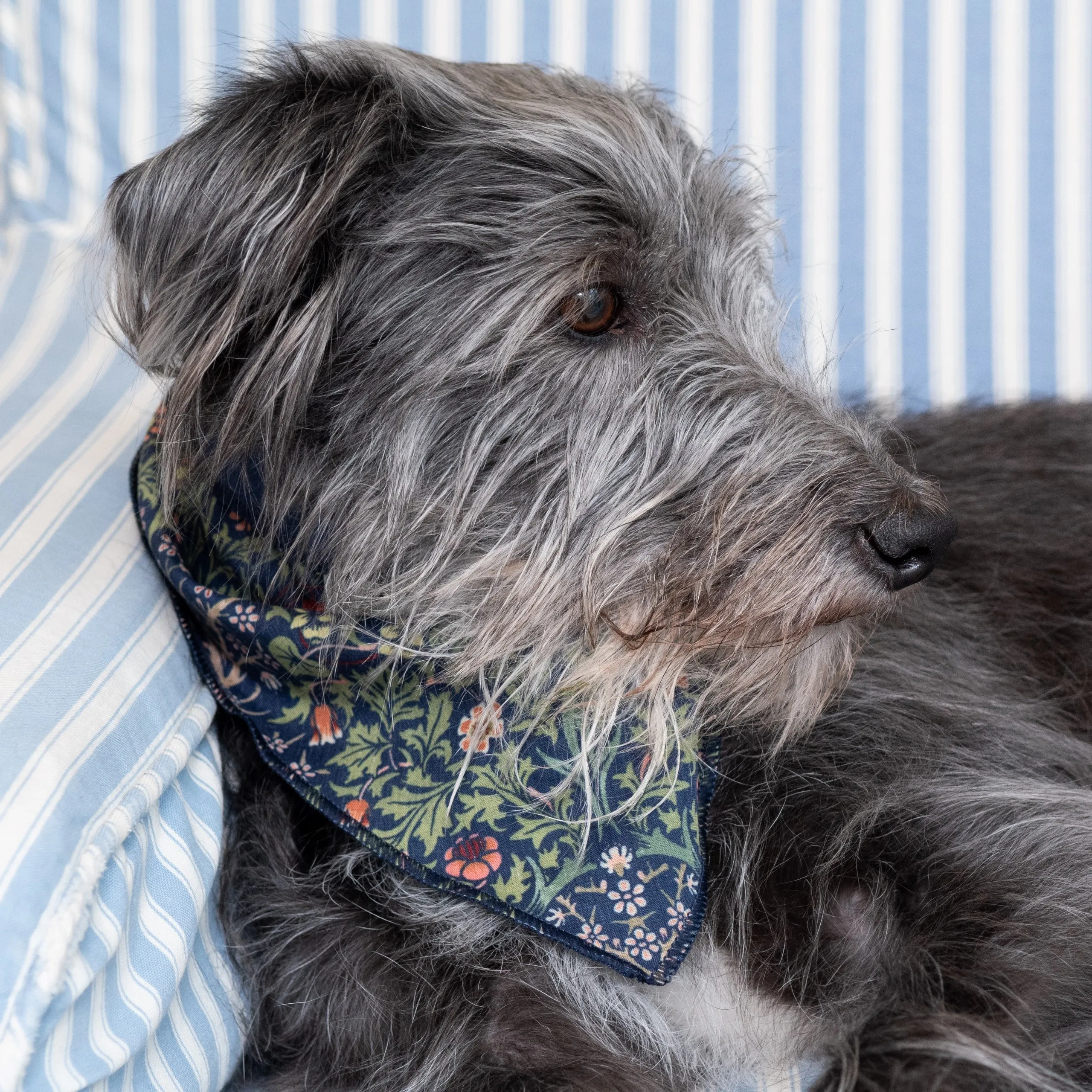 William Morris dog bandana and hand cream gift set